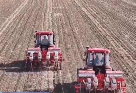 “智”耕向日葵田、猕猴桃机械授粉 农业科技助力丰产丰收