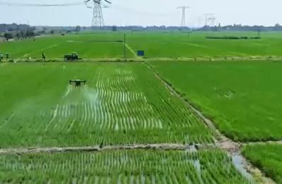 农技护航、智慧种田 “三夏”时节各地都在抢农时 忙耕种