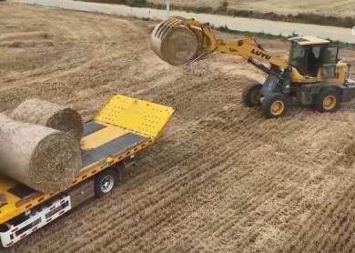 “AI助手”给小麦“全身体检”、农机新装备抢尽风头……多维度解锁“三夏”智变