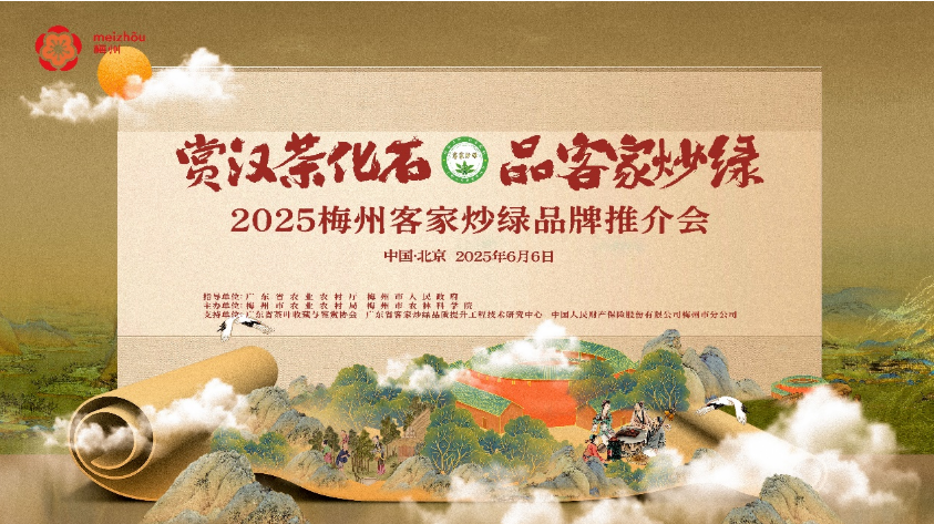 千年匠心凝于叶，非遗工艺铸茶魂