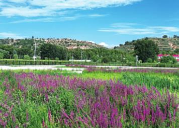 科技赋能黄河治理 山西谱写“一泓清水入黄河”新篇章