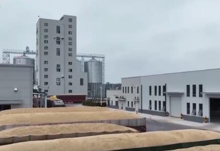 “沃野粮仓”科技大显身手 金秋多彩“丰”景有“智”又有“质”