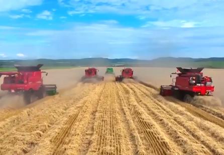 饭碗端得更牢 我国粮食供给保障能力持续增强