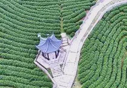 创意赋能玩法出新 长三角乡村游如何“热”起来？