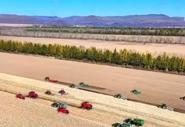 我国农业农村现代化迈出坚实步伐