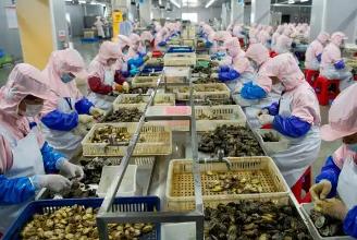 前三季度福建鲍鱼制品出口值稳居全国第一