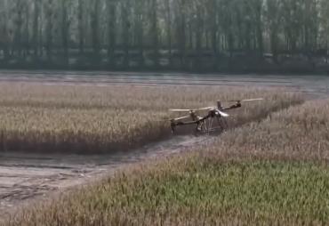 科技服务秋收 无人机架起空中“运粮桥”确保秋粮应收尽收