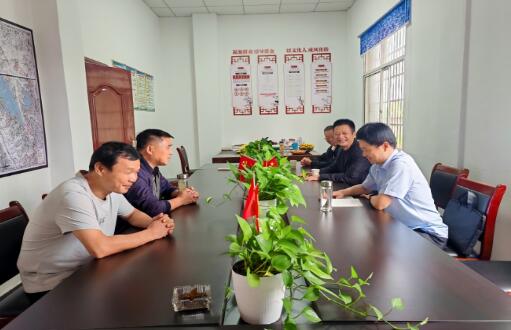 湖北浠水：入村巷察实情 谋振兴谱新章