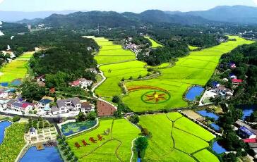 湖南国资系统精准施策 全方位助力乡村振兴