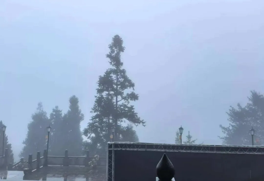 从斯里兰卡到青城山：羊爸爸松果公益在雨雾中为身心“松绑”