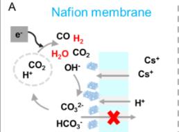 资源化利用二氧化碳有了新“膜”法