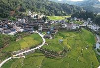 贵州黎平：体系创新激活招商引资新动能