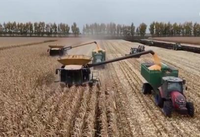 秋粮收获接近尾声 各地抢抓时机保丰收