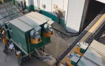 农民种粮实现优粮优价 “科技助力+精细化服务”为售粮托底