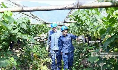 柿红里的产业振兴密码——南方电网广西电网公司点亮丰收致富路