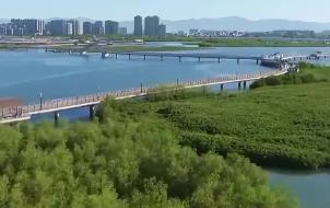 打造从山顶到海洋的生态保护修复示范区  厦门发布生态保护修复三年行动规划