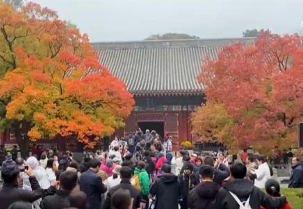 神州大地铺展层林尽染美丽画卷 “赏叶经济”激发多元消费业态新活力