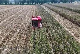 秋涝影响黄淮地区秋收秋播 学者呼吁升级基础能力