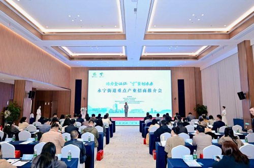 活力金温江，“宁”聚创未来  永宁街道重点产业招商推介会成功举办