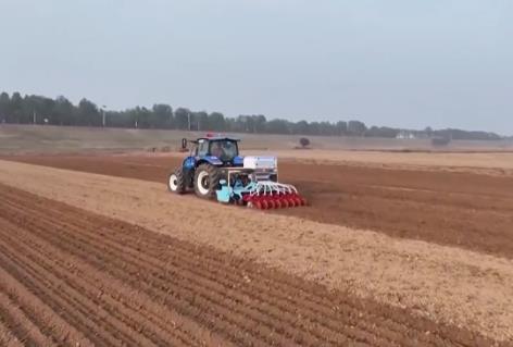 截至11月10日，全国冬小麦播种近七成