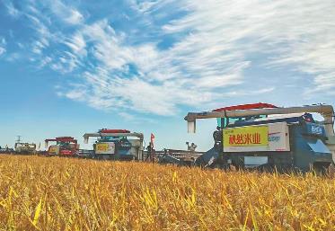 “中国富硒稻米之乡”方正激活农业新动能