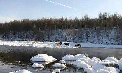 兴安盟激活冰雪“冷资源” 打造旅游“热产业”