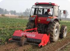 去年福建省甘薯生产综合机械化率超五成