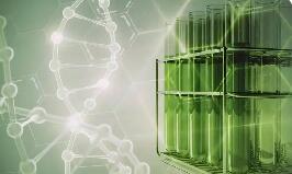 多重利好驱动 万亿级生物制造赛道将迎黄金发展期