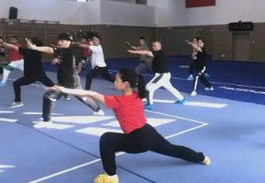 我国牵头的首个武术培训ISO国际标准成功立项