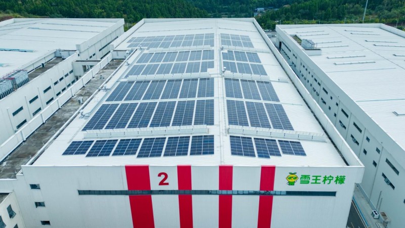 绿电赋能，鹏峰光伏为重庆潼南特色农业发展注入绿色动能