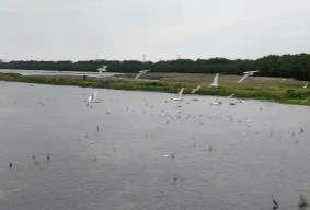 广东打造大湾区“候鸟天堂”