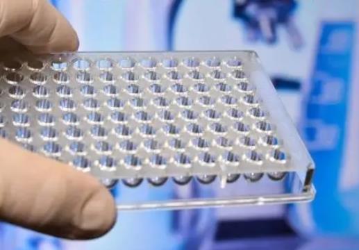 天津大学团队研发发热伴血小板减少综合征病毒检测新方法