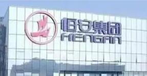 恒安集团低碳转型实践入选“一带一路”绿色供应链案例