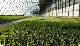 宁夏：“两化一振兴”推动农业现代化取得显著成效