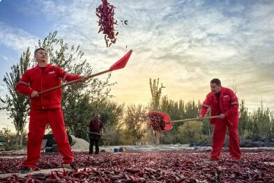 中国石油发布2024优秀社会责任实践案例集