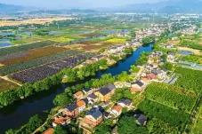 乡村文旅怎样激活消费新动能？