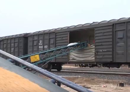 智慧运输！创新“组合拳”保障粮食运输“大动脉”智能、绿色、高效