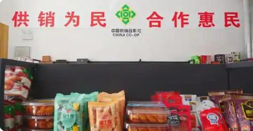 “十四五”期间全国供销合作社系统销售总额年均增长8.6%
