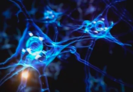 链接“政产学研医”各环节 脑机接口产业创新发展探路未来