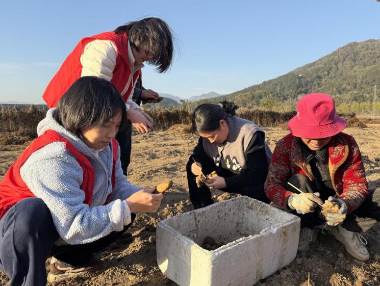 20251127142535922.jpg 20251127142535922.jpg