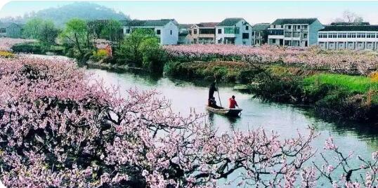 江苏阳山 此心安处是桃源