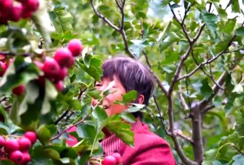 新亮点、新业态“热”力十足助农增收 我国乡村产业蓬勃兴旺、韧性强