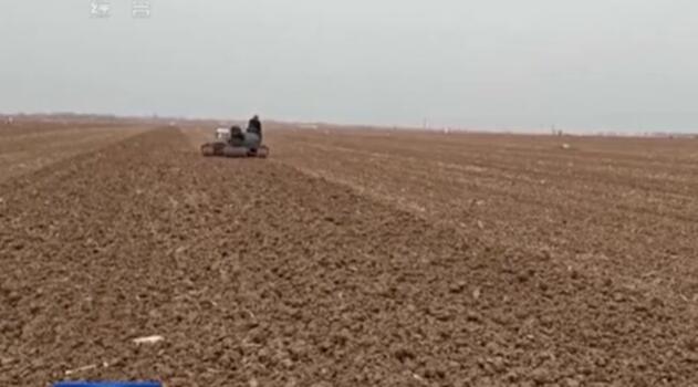 秋冬种基本结束 田间管理有序展开