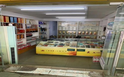 从心出发 向“鑫”启航