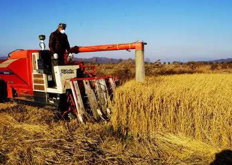 河南“十五五”强农惠农富农信号鲜明