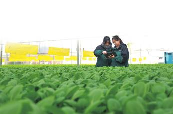 四川农业以“圈”“链”破局谋升级　探索从“卖原料”到做产业