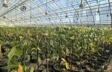 黑龙江：智慧农业聚合力 数智赋能促增收