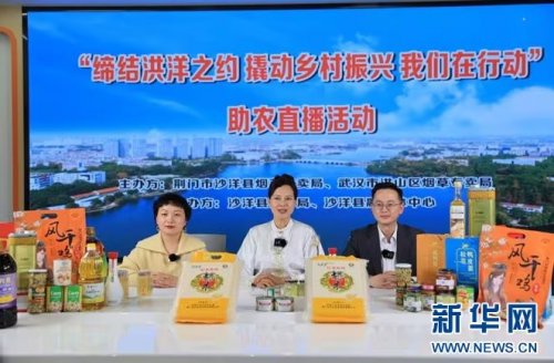 让创新在基层的土壤中生根发芽——首席营销师刘琳工作室侧记