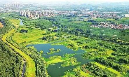 谋新重绿 向“智”求质——山东深化绿色低碳高质量发展观察