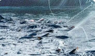 《贵州省大水面增殖渔业管理办法》出台